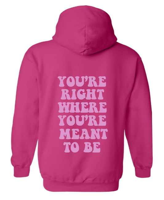 Where You're Meant To Be Hoodie Pink